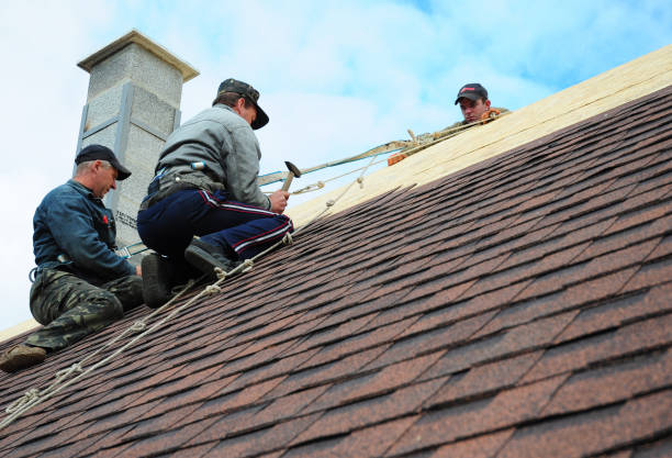 Best Metal Roofing Contractor  in Connell, WA
