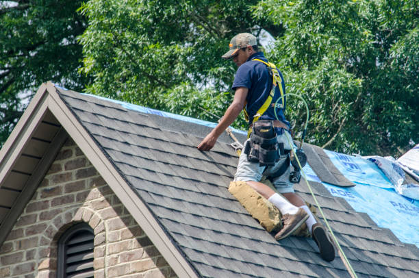 Best Metal Roofing Contractor  in Connell, WA